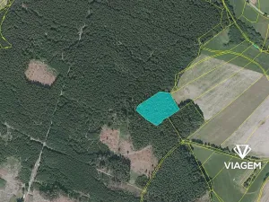 Prodej podílu lesa, Buková, 821 m2