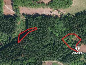 Prodej podílu lesa, Růžďka, 26737 m2