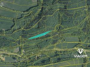 Prodej podílu lesa, Bratřejov, 3636 m2