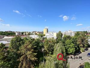 Pronájem bytu 1+kk, Praha - Žižkov, Květinková, 37 m2