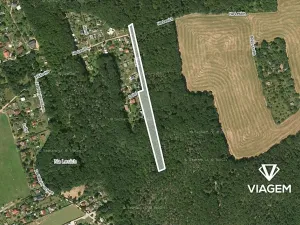 Prodej lesa, Vráž, 3233 m2