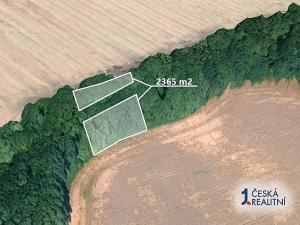 Prodej podílu pole, Mladějov na Moravě, 1655 m2