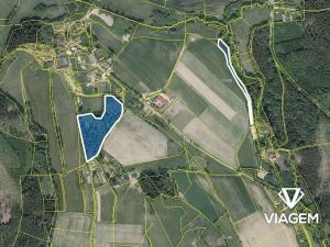 Prodej podílu lesa, Světlá nad Sázavou, 5589 m2