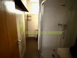 Prodej rodinného domu, Všemina, 173 m2