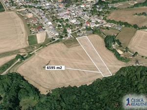 Prodej podílu zahrady, Kolšov, 3297 m2