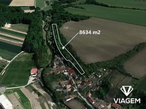 Prodej lesa, Brozany nad Ohří, 8634 m2