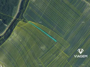 Prodej podílu pole, Uherčice, 1045 m2