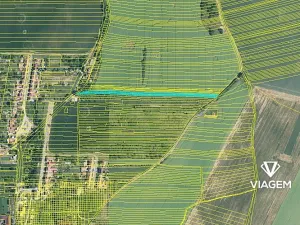 Prodej zahrady, Moravany, 4453 m2