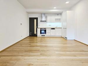 Pronájem bytu 1+kk, Brno, Kleštínek, 39 m2