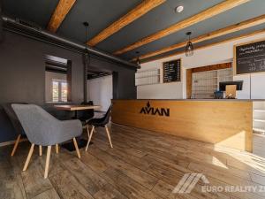 Pronájem restaurace, Otrokovice, Dr. E. Beneše, 237 m2