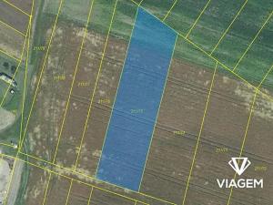 Prodej podílu pole, Kojetín, 248 m2