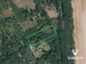 Prodej podílu lesa, Břehov, 3796 m2