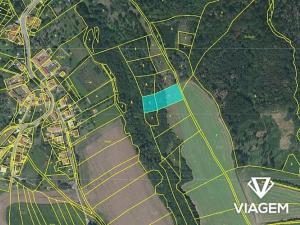 Prodej lesa, Krhov, 3039 m2