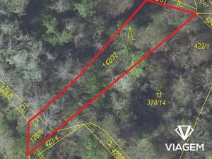 Prodej lesa, Pašinka, 606 m2