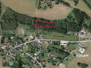 Prodej podílu lesa, Skuhrov, 1301 m2