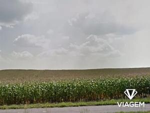 Prodej podílu pole, Bzenec, 1660 m2