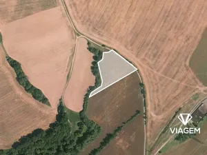 Prodej podílu pole, Bojanovice, 1806 m2