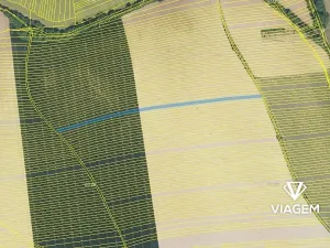 Prodej podílu pole, Staré Město, 1354 m2