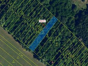 Dražba lesa, Ivančice, 741 m2