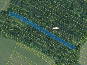 Dražba lesa, Milavče, 4689 m2