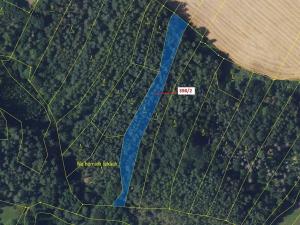 Dražba lesa, Žďárec, 2615 m2