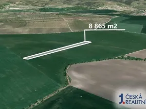 Prodej podílu pole, Velké Pavlovice, 2216 m2