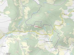 Dražba lesa, Vranová Lhota, 5323 m2