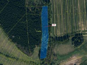 Dražba lesa, Žirovnice, 5041 m2