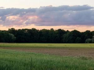 Prodej podílu pole, Oráčov, 1572 m2