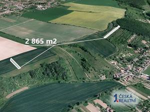 Prodej pole, Nedachlebice, 2865 m2