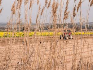 Prodej podílu pole, Medlice, 824 m2