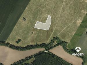 Prodej podílu pole, Moravská Nová Ves, 860 m2