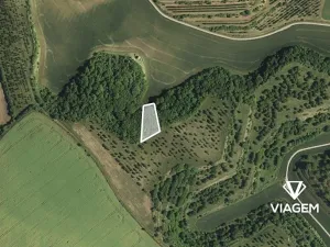 Prodej podílu pole, Kobylí, 791 m2