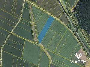 Prodej pole, Moravské Knínice, 18234 m2