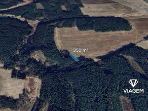 Prodej pole, Bor, 959 m2