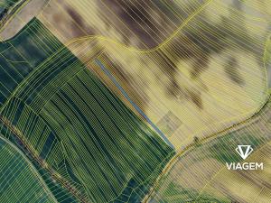 Prodej podílu pole, Věteřov, 571 m2