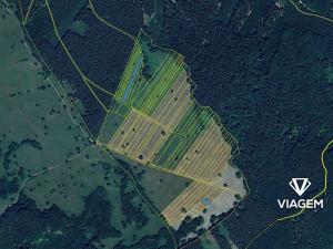 Prodej podílu pole, Slavkov, 566 m2