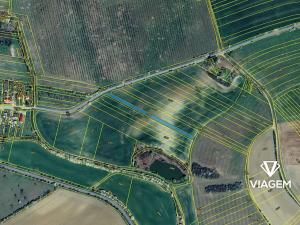 Prodej pole, Litenčice, 2401 m2