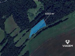 Prodej podílu pole, Staré Těchanovice, 4151 m2