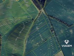 Prodej podílu pole, Tupesy, 302 m2