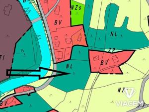 Prodej lesa, Klášterec nad Orlicí, 4564 m2