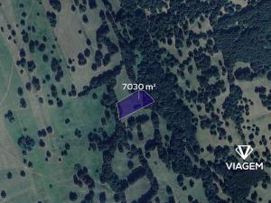 Prodej pole, Tvarožná Lhota, 7030 m2