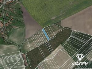 Prodej podílu pole, Vrbice, 834 m2