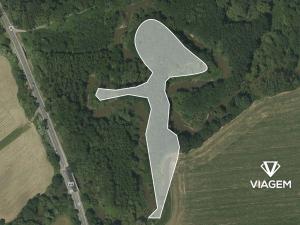 Prodej lesa, Kunín, 12261 m2