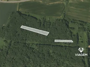 Prodej lesa, Kravaře, 7842 m2