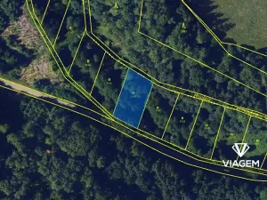 Prodej lesa, Buková, 981 m2