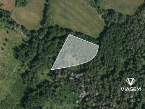 Prodej podílu lesa, Bukovník, 1306 m2