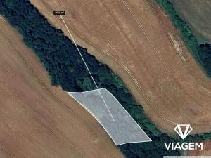 Prodej podílu pole, Nedachlebice, 437 m2