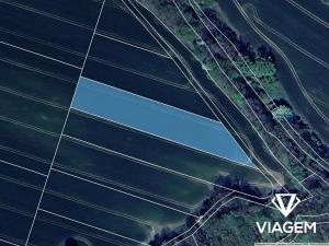 Prodej podílu pole, Vražné, 577 m2