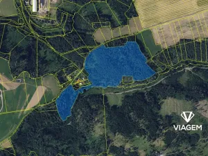 Prodej podílu lesa, Letovice, 1470 m2